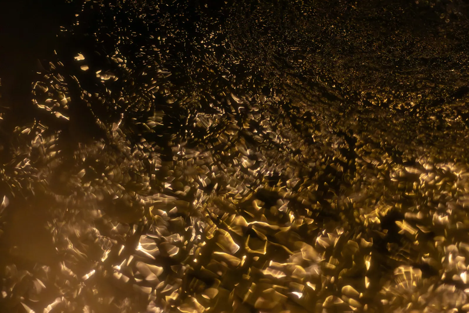 Golden liquid surface rippling in low light