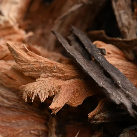 Curls of aromatic wood bark