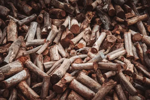 Heap of small cut wood fragments