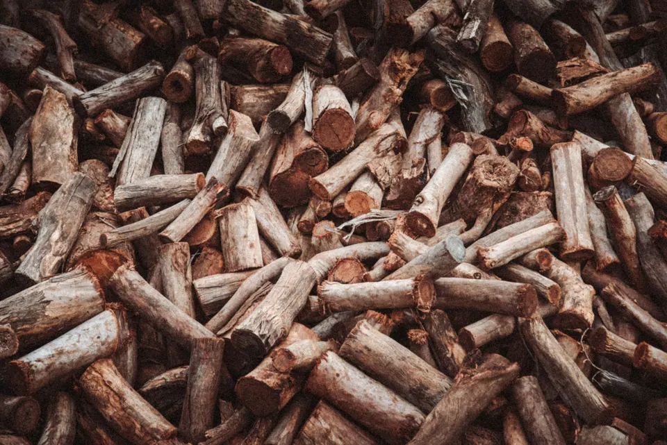 Heap of small cut wood fragments